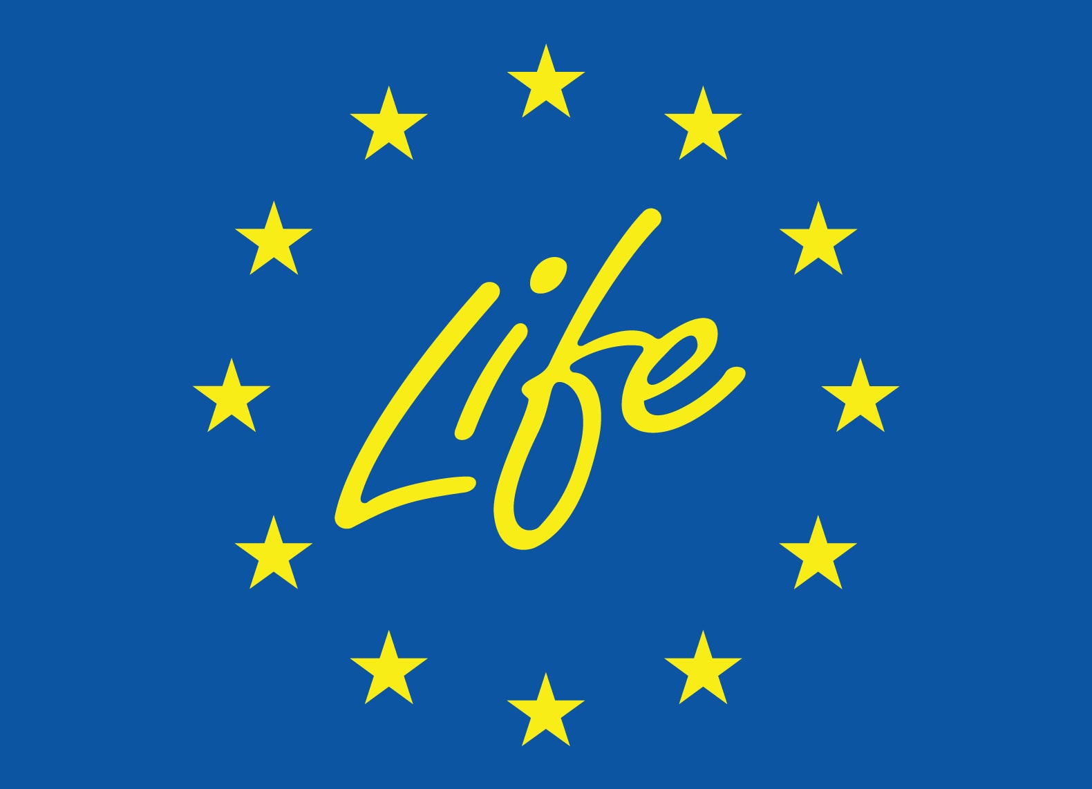 life-1 life 1
